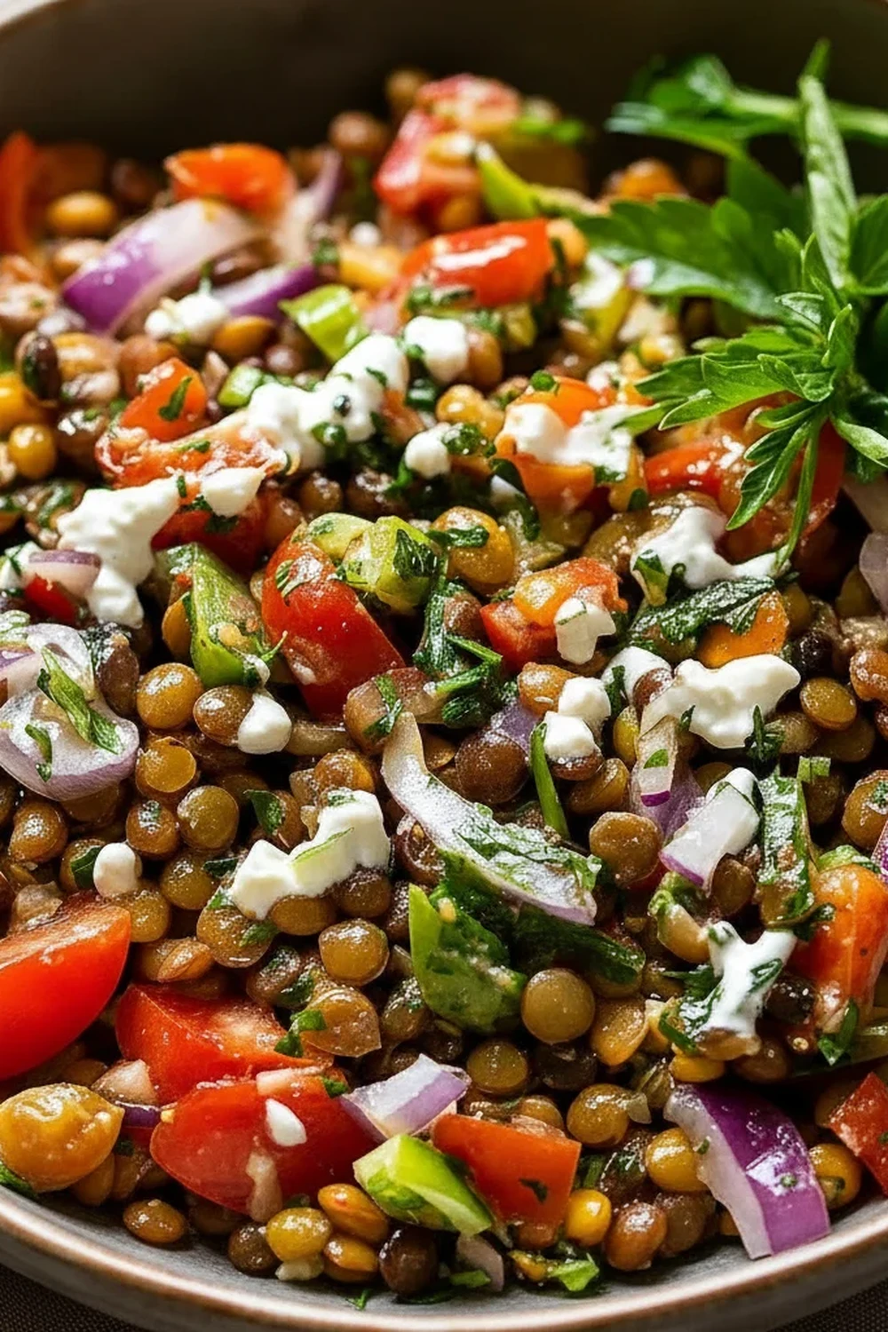 Mediterranean Lentil Salad Recipe