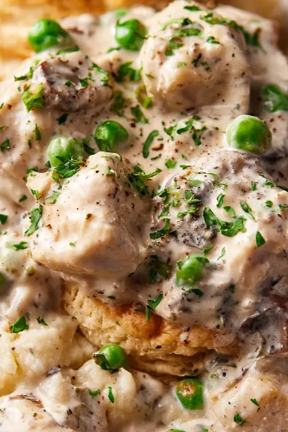 Creamy Chicken a la King over Biscuits