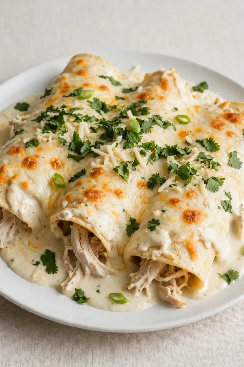 Creamy Chicken Enchiladas