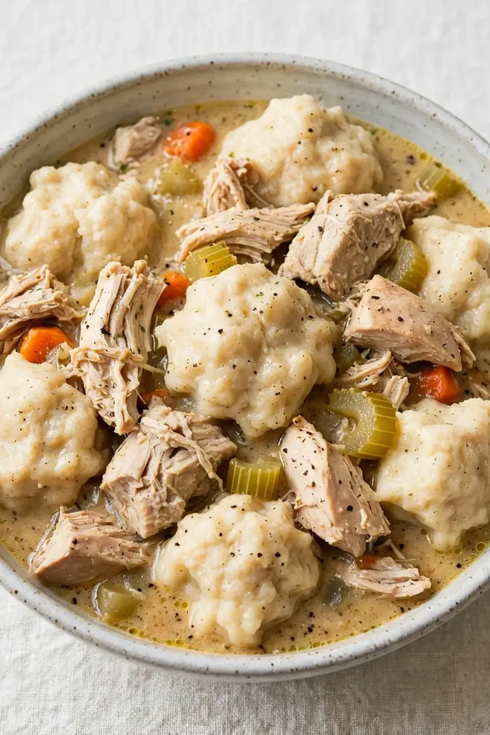 Southern Chicken and Dumplings